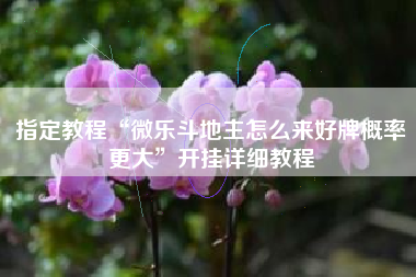 指定教程“微乐斗地主怎么来好牌概率更大”开挂详细教程