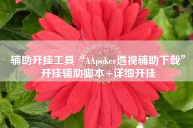 辅助开挂工具“AApoker透视辅助下载	”开挂辅助脚本+详细开挂