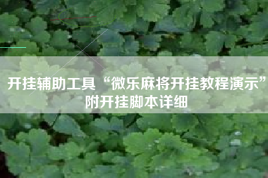 开挂辅助工具“微乐麻将开挂教程演示”附开挂脚本详细
