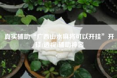 真实辅助“广西山水麻将可以开挂	”开挂(透视)辅助神器