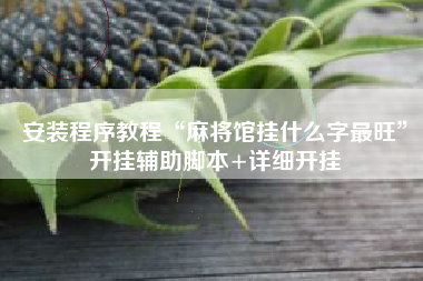 安装程序教程“麻将馆挂什么字最旺”开挂辅助脚本+详细开挂