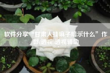 软件分享“甘肃人挂麻子暗示什么”作弊(透视)透视辅助