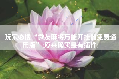 玩家必搜“微友麻将万能开挂器免费通用版	”(原来确实是有插件)