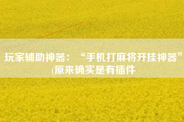 玩家辅助神器：“手机打麻将开挂神器”(原来确实是有插件